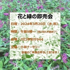 苗木 即売会 川口市　植物 花木 果樹苗 園芸 造園の画像