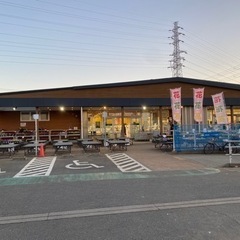 JAさがみメダカイベント❗️
