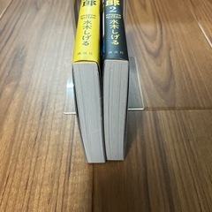 マガジン　ゲゲゲの鬼太郎　　　の画像