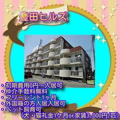 🍹豊田ヒルズ　206号室🍹仲介手数料0円！礼金0円！敷金0円！家賃1ヶ月無料！✨初期費用0円～！✨☆ワンちゃんネコちゃんと暮らせる2LDK♪の画像