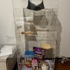 フクロモモンガ 360度見渡せるアクリルルーム