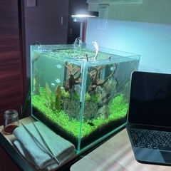 アクアリウム LEDライト Chihiros C2 RGB