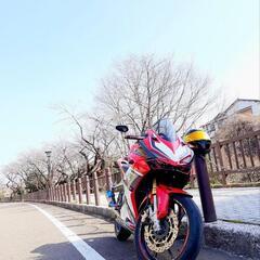 cbr250rr