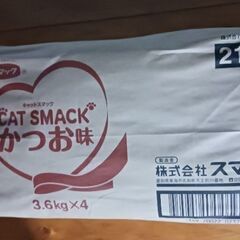 猫ちゃんの餌の画像