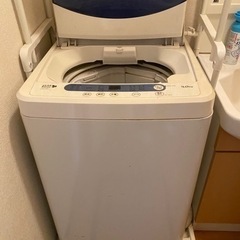 家電 生活家電 洗濯機