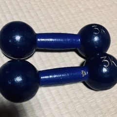 鉄アレイ 3kg