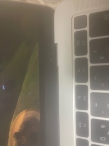 パソコン 本体
