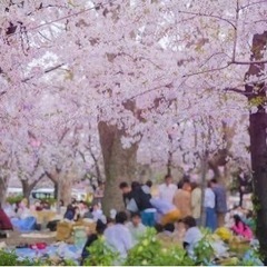 3/30(土)テレビ放送⭕️100名集まるお花見🌸友活🌸
