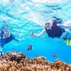 ４月２４日水曜日の午前中空いてる方いませんか？？