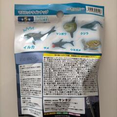 【新品未使用】海の生き物石鹸の画像