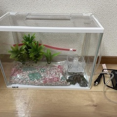 金魚タンク、エサ、備品