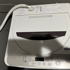 家電 生活家電 洗濯機
