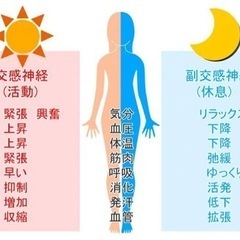 腸と脳のヨガ体験イベント③の画像