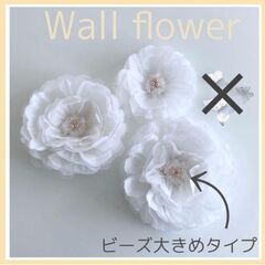 ウォールフラワー