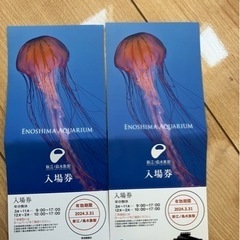 江ノ島水族館　入場券　2枚