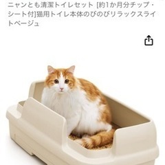 猫トイレ