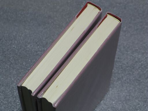 新推命学 2巻セット 増永篤彦著 幻の推命書復刊 新推命学 二冊揃 増永篤彦①