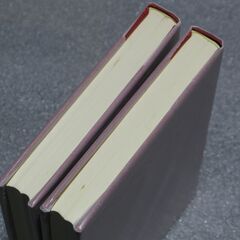 幻の推命書復刊　新推命学 二冊揃 増永篤彦①の画像