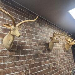 家具 照明器具