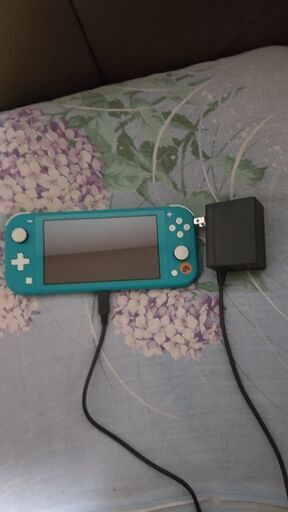 スイッチライト本体。あつもりダウンロード同梱版