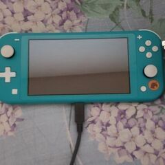 スイッチライト本体。あつもりダウンロード同梱版の画像