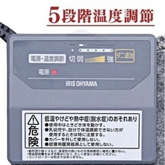 【美品中古】ラグ付きホットカーペット 1畳  本体 176×88cm 5段階温度調節  の画像