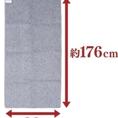 【美品中古】ラグ付きホットカーペット 1畳  本体 176×88cm 5段階温度調節  の画像