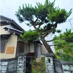 高知市仁井田　ファミリー大歓迎♪広々戸建て！ペット可！ （ - 高知市