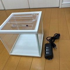 お取引中　小さめ水槽