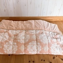 無料　毛布