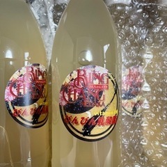 めだかの乳酸菌(びんびん乳酸菌)の画像