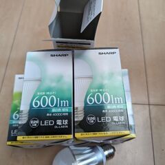【再値下げ】一つ500円〜　電球　箱違い・潰れ