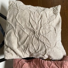 クッション2個　サリュの画像