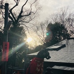 目に見えない世界に興味ある方募集✩.*˚ - 甲賀市