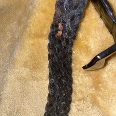 ベルト差し上げます。の画像