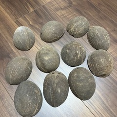 生活雑貨 家庭用品 ガーデニング