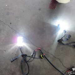 HID15000ケルビン　HB3の画像