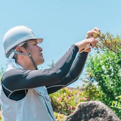 最短即日対応！お庭のことならお庭No1【おにワン】にお任せください！