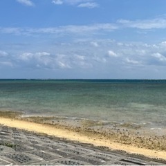 強風の日はお休みです。