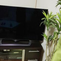 テレビＡＱＵＯＳ45