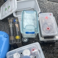 容器カブトムシラクボックス