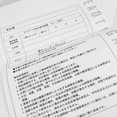 タイマー付紫外線消毒器NV-308EX(PHILIPS社製ライト採用)の画像