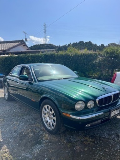 ジャガー　グリーン