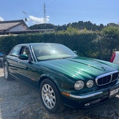 ジャガー グリーン