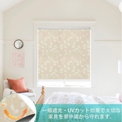 Sanfansi ロールスクリーン ロールカーテン ブラインド ...