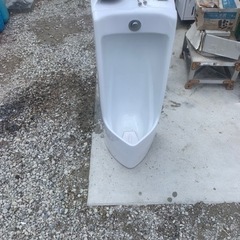 TOTO プッシュボタン小便器　UJ300CV トイレの画像