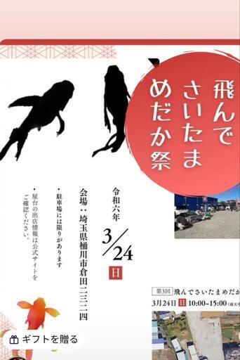 ஐ೨はるいろめだかஐ೨in桶川市°･