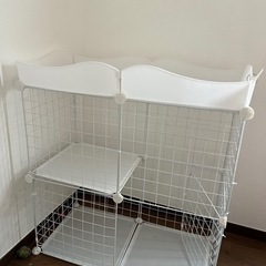 猫ゲージ