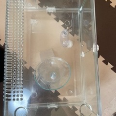 ハムスター　飼育セット