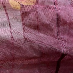 シラスウナギ 用　小型定置網の画像